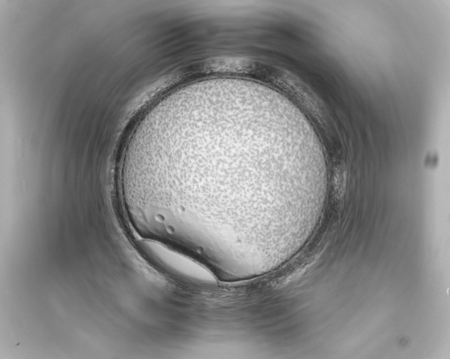 X0000093570725200711121036