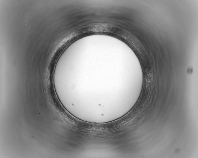 X0000093570727200711121036