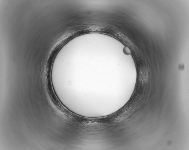 X0000093570730200711121036