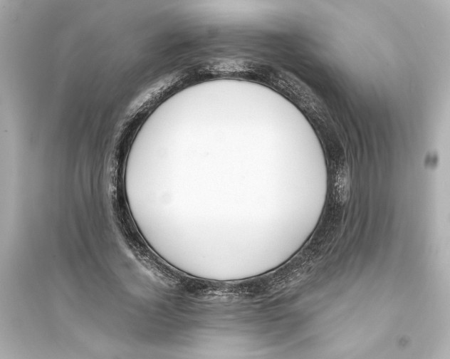 X0000093570732200711121036