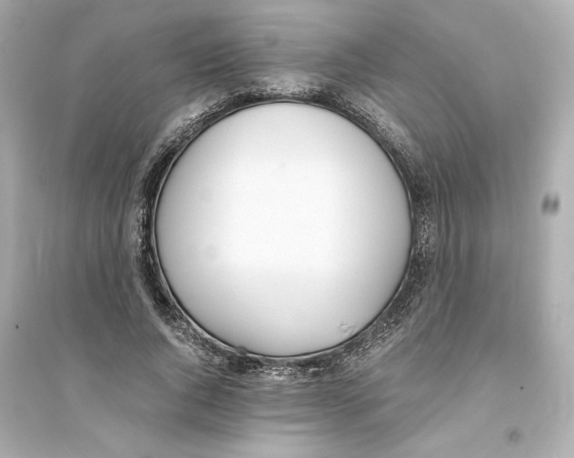 X0000093570736200711121037