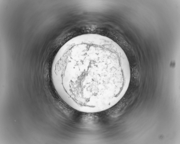 X0000093570754200711121037