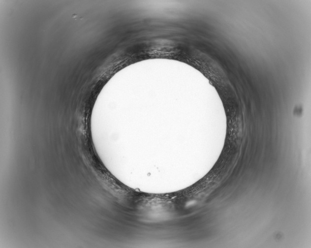 X0000093570755200711121037
