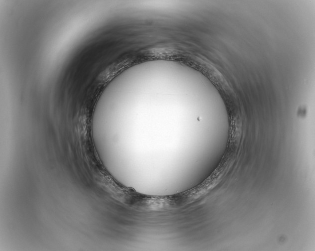 X0000093570762200711121037