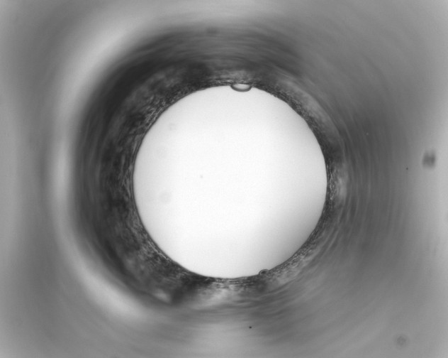 X0000093570764200711121037