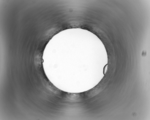 X0000093570768200711121037