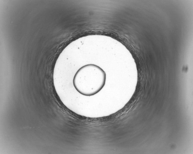 X0000093570769200711121036