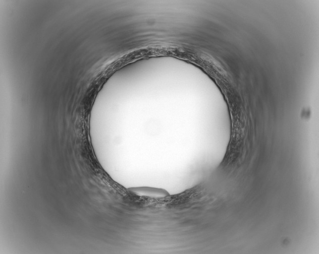 X0000093570773200711121036