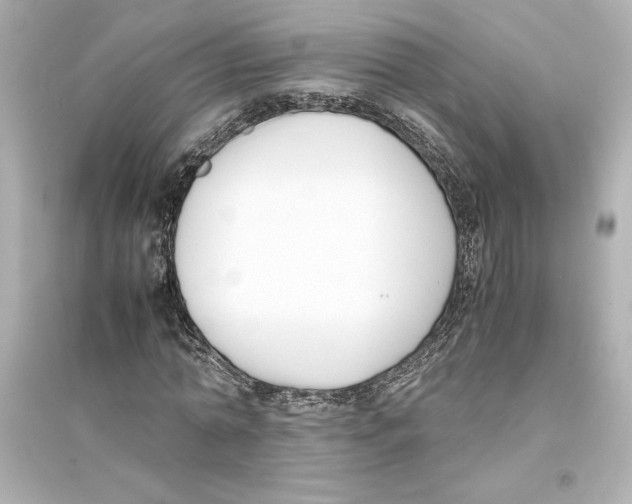 X0000093570774200711121036