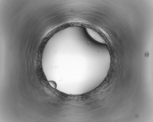 X0000093570775200711121036