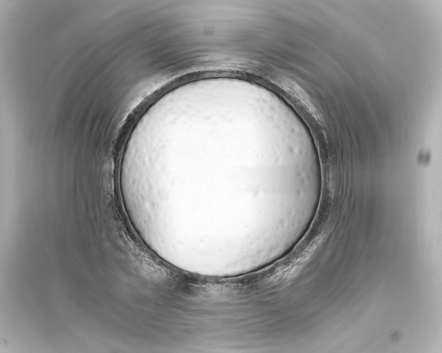 X0000093570781200711121036