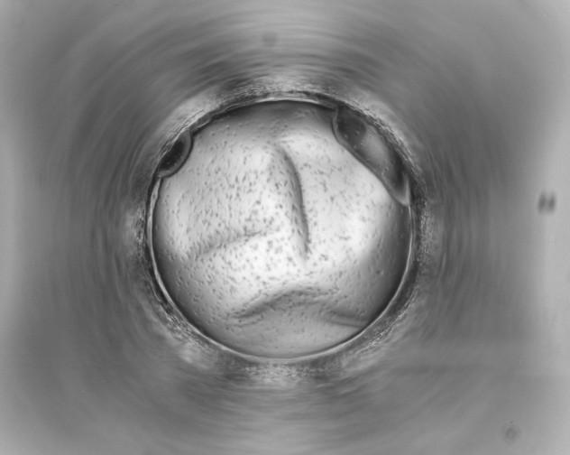 X0000093570785200711121036
