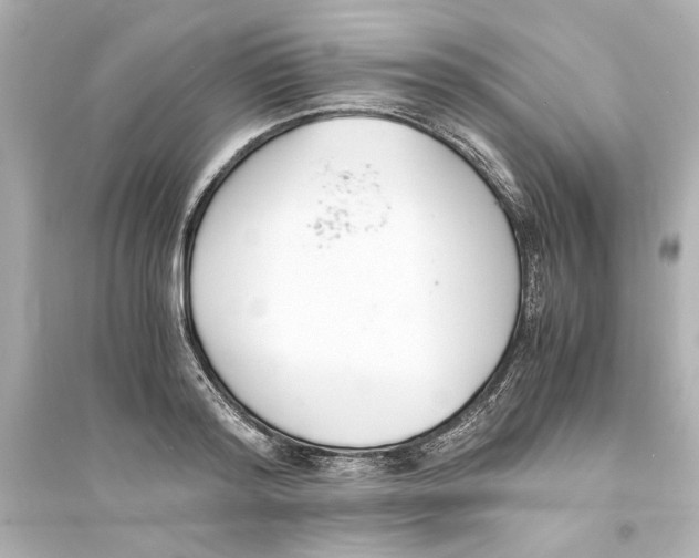 X0000093570796200711121036