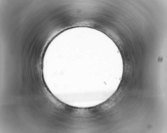 X0000093570800200711121036