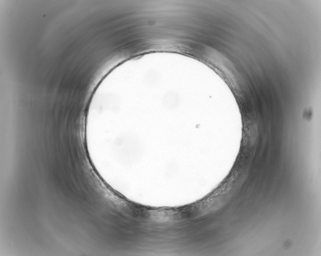 X0000093570804200711121036