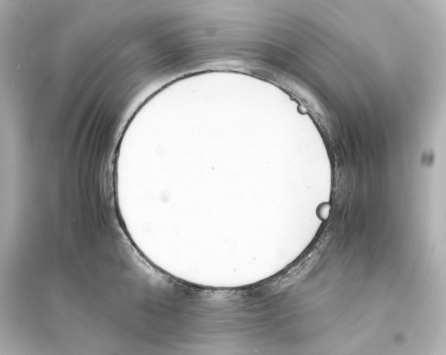 X0000093570808200711121036