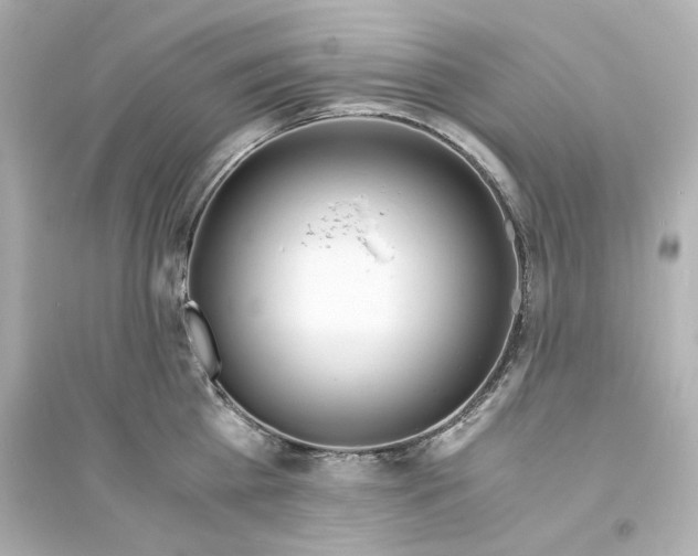 X0000093570809200711121036