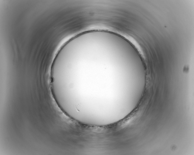 X0000093570815200711121036