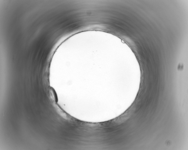X0000093570816200711121035