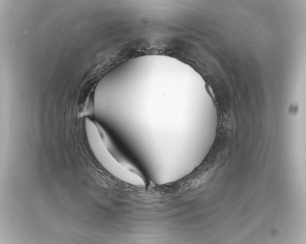 X0000093570818200711121035