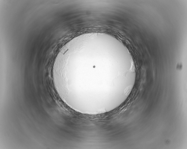 X0000093570820200711121035