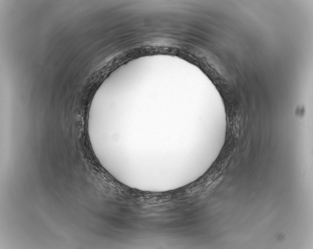 X0000093570821200711121035