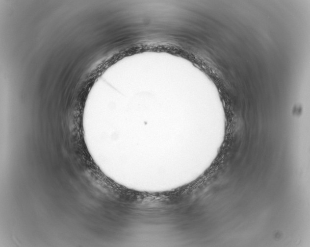 X0000093570824200711121035