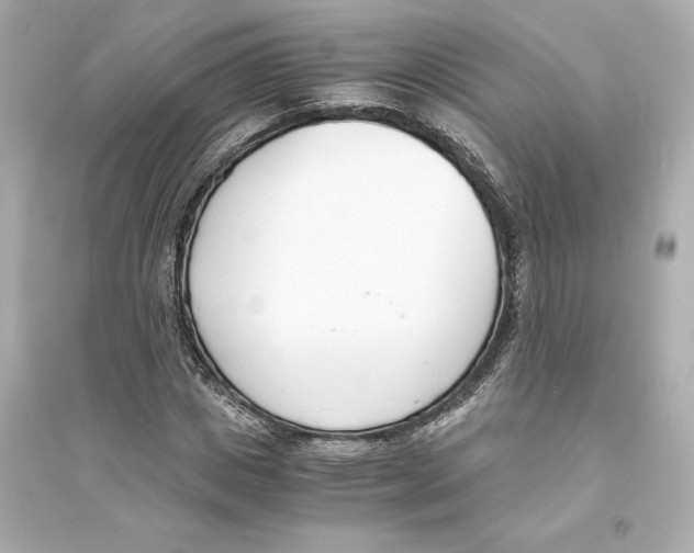 X0000093570825200711121035