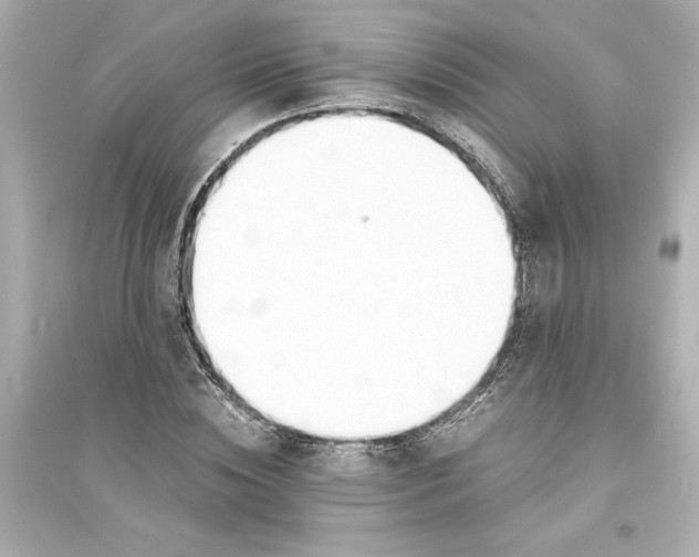 X0000093570828200711121035