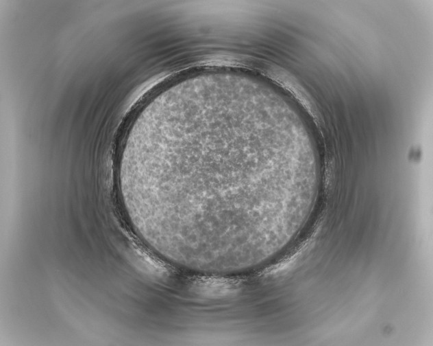 X0000093570829200711121035