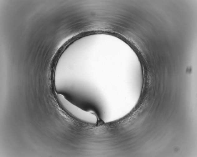 X0000093570830200711121035
