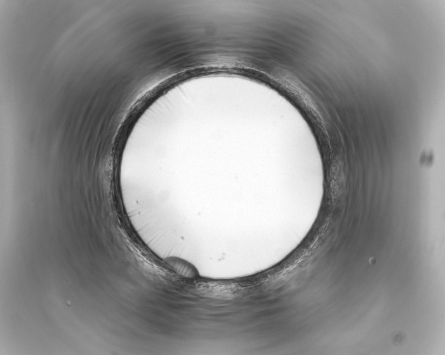 X0000093570831200711121035