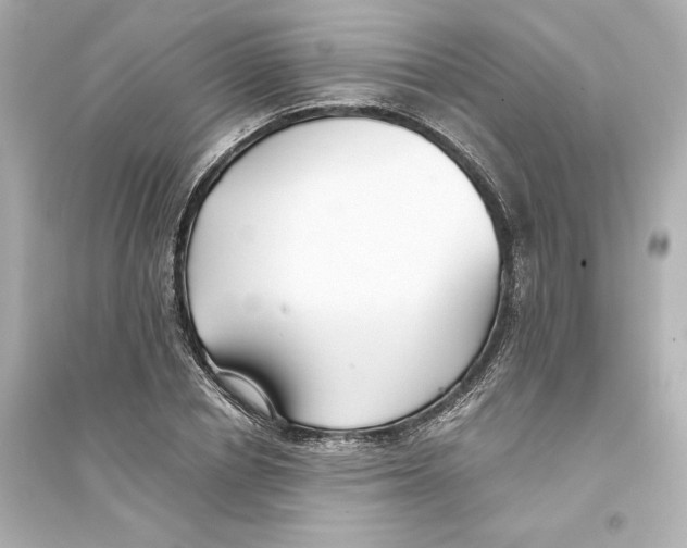 X0000093570834200711121035