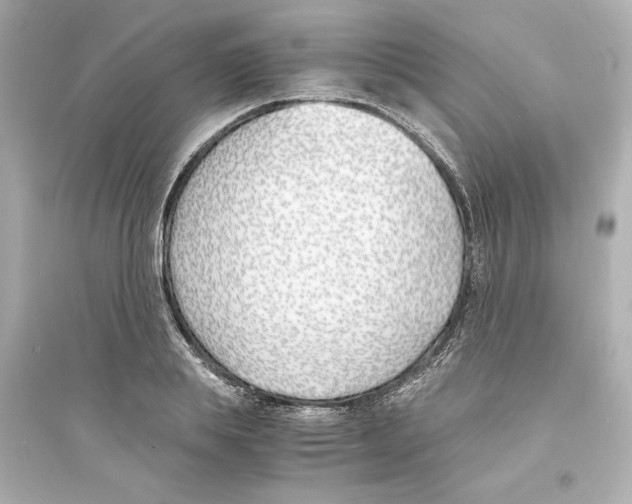 X0000093570839200711121035