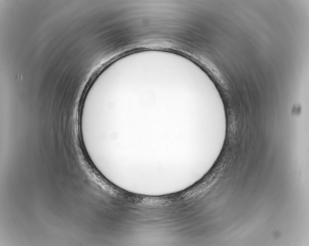 X0000093570840200711121035