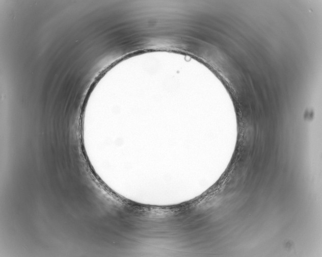 X0000093570848200711121035