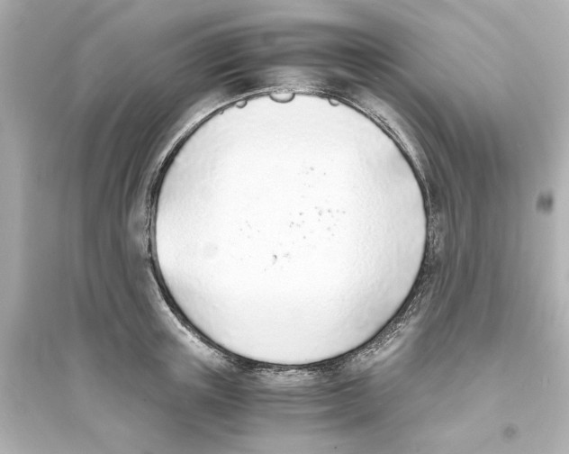 X0000093570851200711121035
