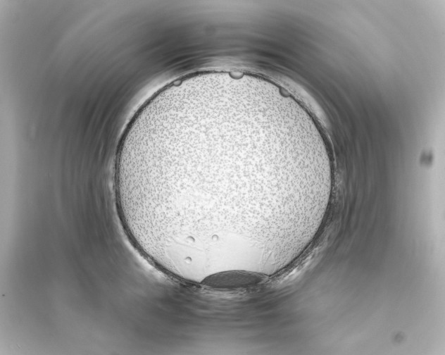X0000093570855200711121035