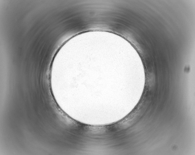 X0000093570856200711121035