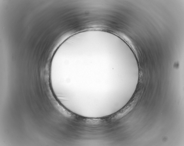 X0000093570859200711121035