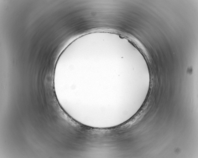 X0000093570860200711121035