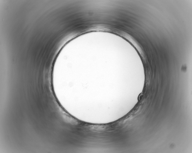 X0000093570861200711121035