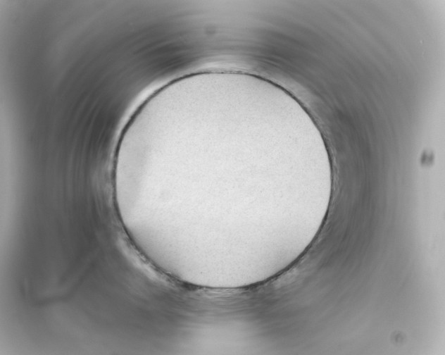 X0000093570864200711121035