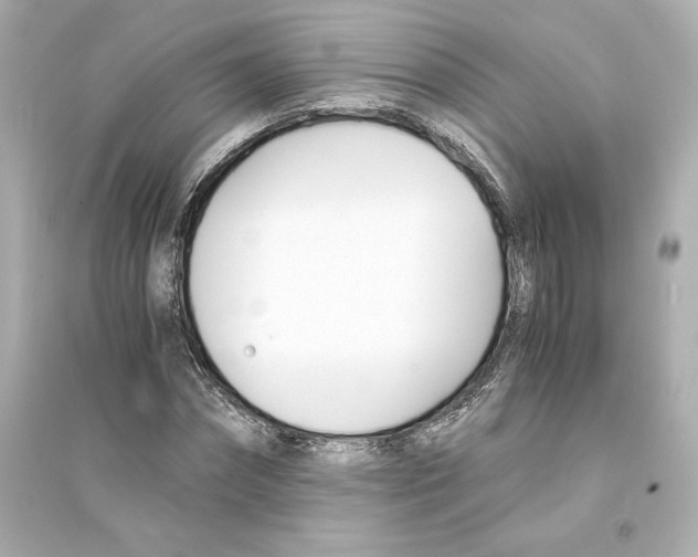X0000093570874200711121035