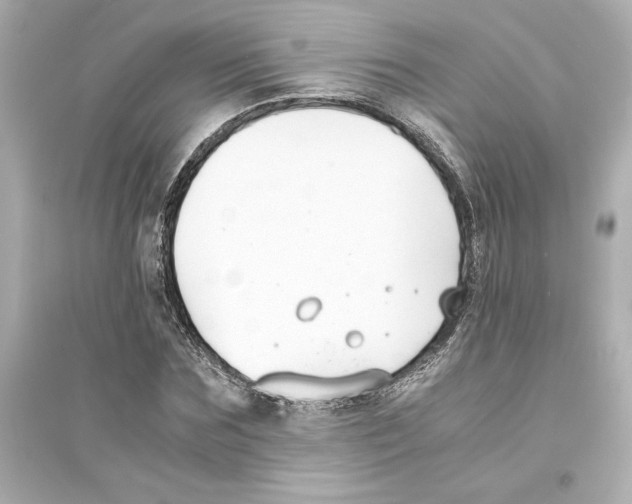 X0000093570875200711121035