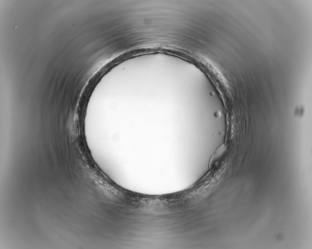 X0000093570876200711121034