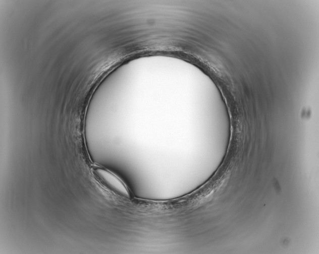 X0000093570881200711121034