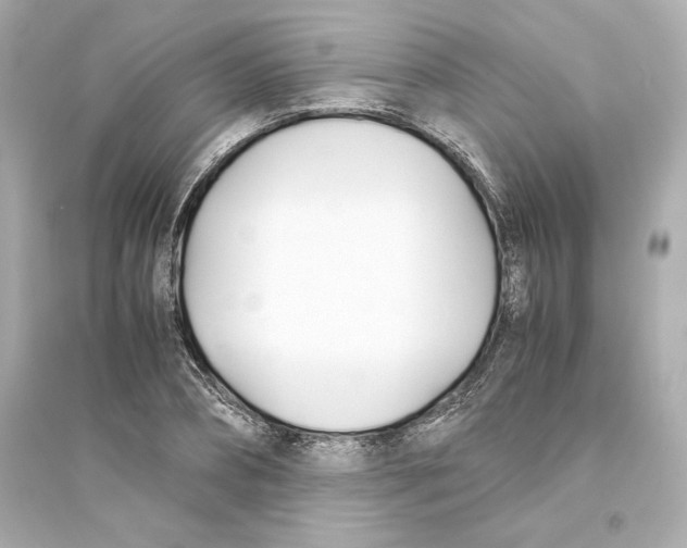 X0000093570882200711121034