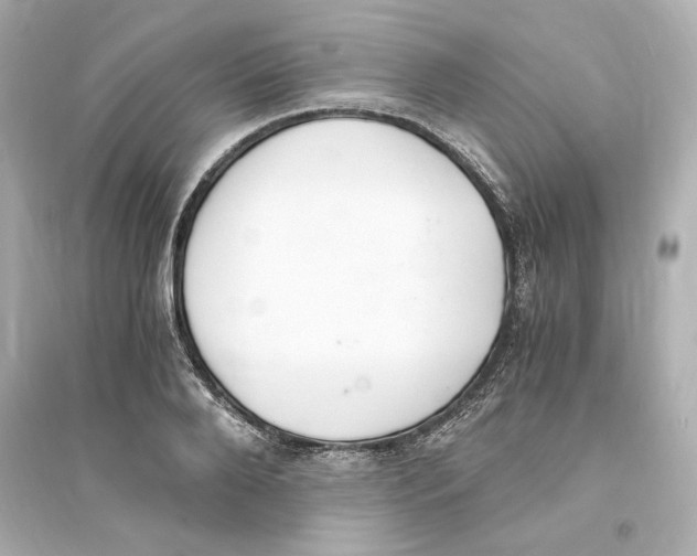 X0000093570888200711121034
