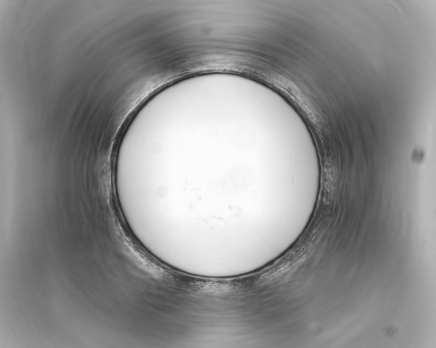 X0000093570890200711121034